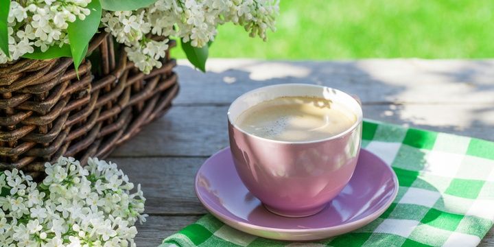 6 Unusual Ways to Make Full Use of Coffee Coffee keeps your garden clean