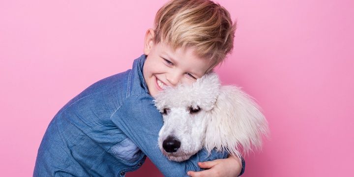 5 Dog Breeds That Are Perfect Partners for Your Kids Poodle