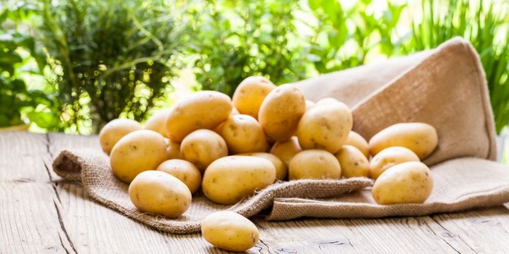 7 Foods You Consume Without Knowing How Poisonous They Are Potatoes