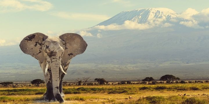5 Incredible Places Worth Visiting The Roof of Africa Tanzania