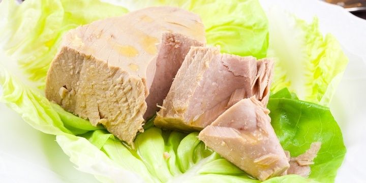 Speed up Your Metabolism by Snacking on the Right Treats Canned Tuna