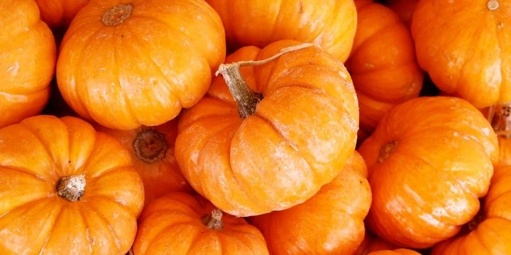 4 Foods That Are Not Supposed to Be Stored in the Fridge Pumpkin