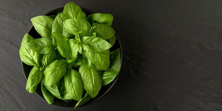 5 Foods That Dislike Being in the Fridge Basil