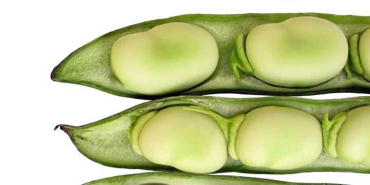 5 Most Common Foods in Your Kitchen That Are Deadly Lima Beans