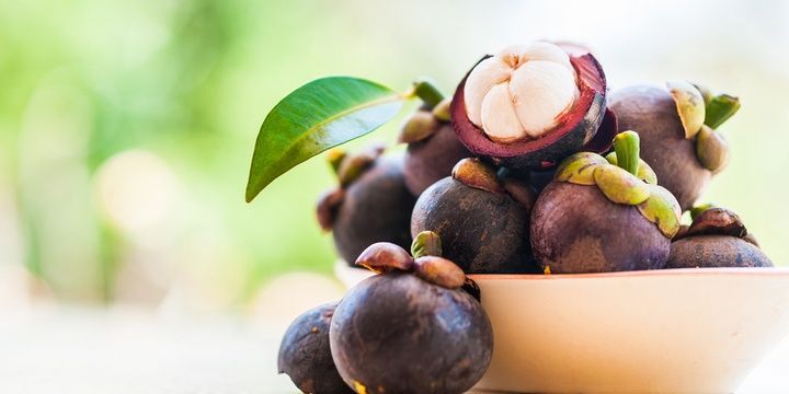 6 Foods Recommended to Prevent and Fight Diabetes Mangosteen