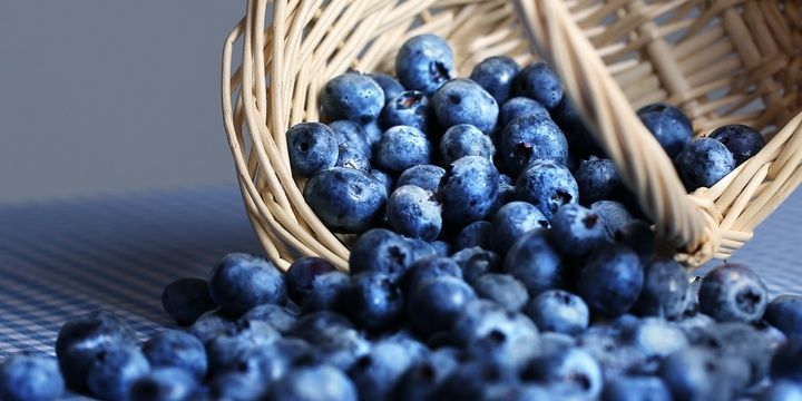 5 Foods That Burn Stubborn Lard Blueberries