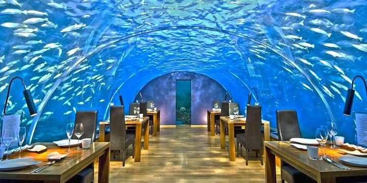 5 Surreal Restaurants in the World Ithaa Underwater Restaurant Maldives