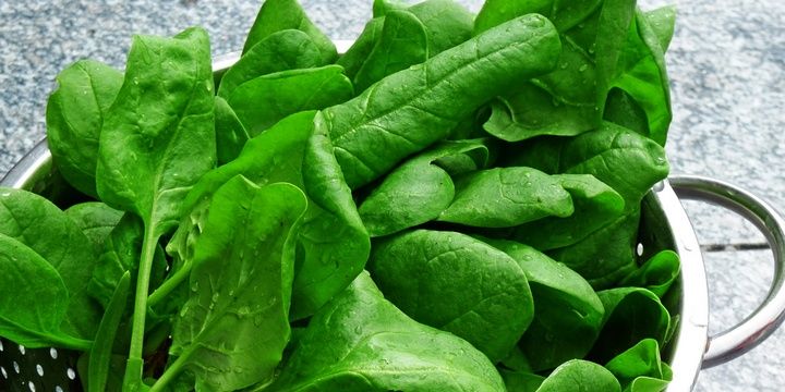 Fight Depression and Fatigue with These 5 Foods Spinach