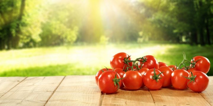 The Most Poisonous Foods You Might Have in Your Kitchen Tomatoes