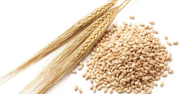 6 Foods Recommended to Prevent and Fight Diabetes Barley