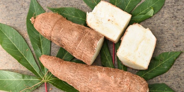 7 Most Toxic Foods That You Might Find in the Kitchen Cassava