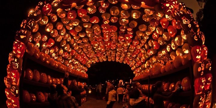 5 Ways to Make Your Halloween Both Terrifying and Fun Visit New York and See the Pumpkins at The Great Jack OLantern Blaze