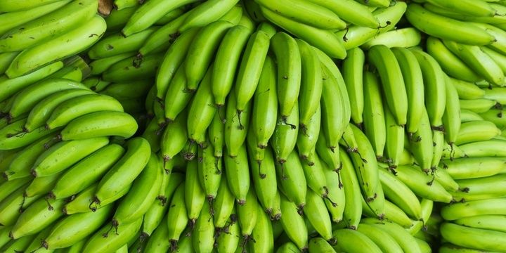 6 Special Qualities of Bananas Ethylene