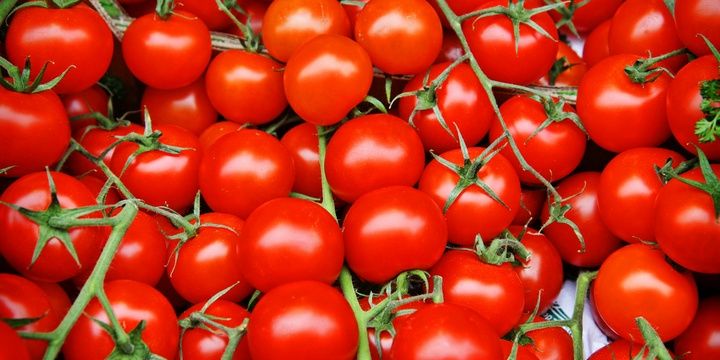 5 Tips and Hints Beneficial Properties of a Banana Peel Fertilizing Tomatoes