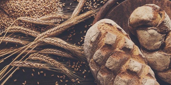 6 Disturbing Truths Food Industry Is Hiding from Consumers Not All Multigrain Products Are Whole-Grain