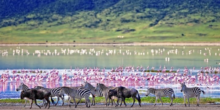 7 Most Special Spots on the Planet for Passionate Travellers Kenya