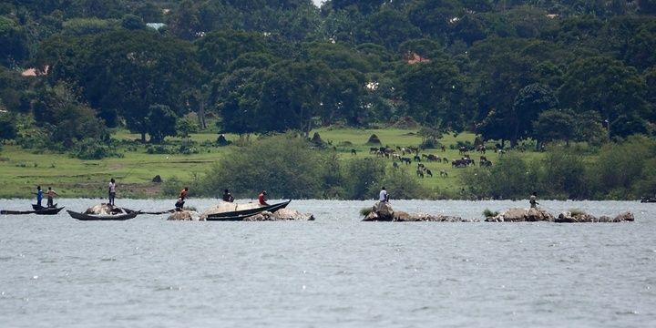 5 Places Where Swimmers Should Never Go Lake Victoria Africa