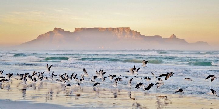 7 Countries Where Your Life Partner Might Be Found Cape Town