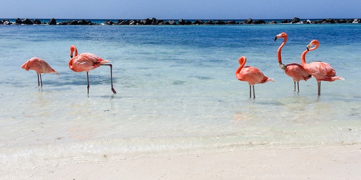 5 Perfect Locations to Soothe Your Soul Aruba