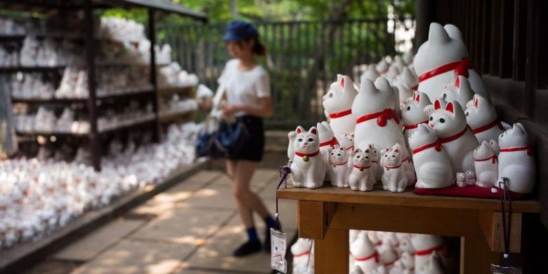 7 Special Spots in Tokyo for Instagrammers Gotokuji Temple